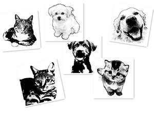 Lot de six croquis minimalistes de portraits d'animaux, chiens et chats en noir et blanc