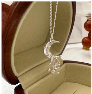 Macro shot of silver crescent moon necklace with star charms in a wood jewelry box