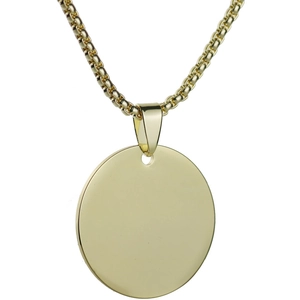 Close-up of a polished round gold titanium pet ID tag with a durable box chain