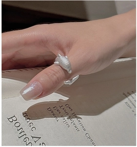Detail of matte S925 silver dolphin ring with brushed texture on a vintage background
