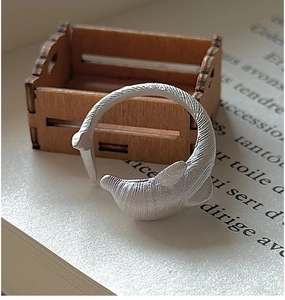 Macro shot of S925 silver dolphin ring with matte brushed finish on an open book