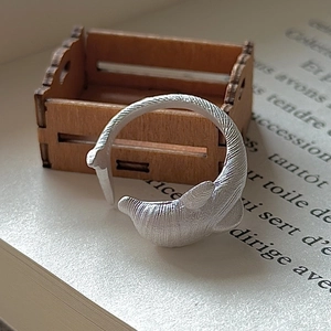 Minimalist S925 sterling silver dolphin ring with matte brushed texture on book pages