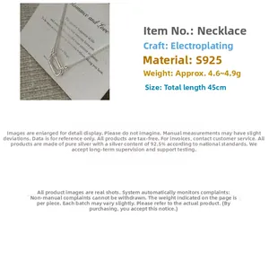 Détail du collier en argent sterling S925 avec boucle fer à cheval et chaîne 45cm