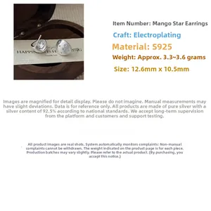 Detailed view of S925 sterling silver star earrings with brushed texture finish