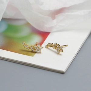Detail of s925 silver gold floral stud earrings with sparkling zircon clusters