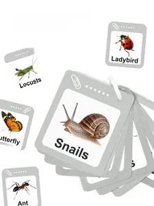 Double-sided educational insect flashcards for kids with ring binder on white background