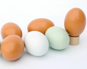 Detailed view of assorted realistic wooden play eggs in white and brown with a mini stand