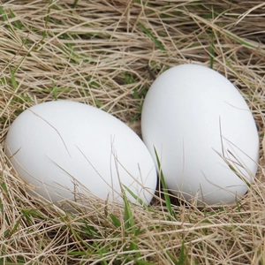 Realistic wooden toy eggs in a straw nest for DIY painting and kids pretend play