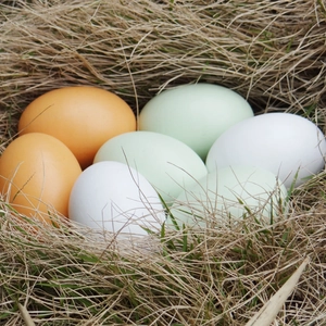 Detailed view of six assorted realistic wooden toy eggs nestled in a rustic straw nest