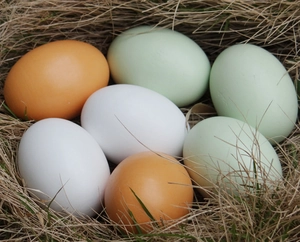 Realistic wooden toy eggs in a straw nest showing natural texture for kids' play