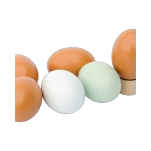 Realistic wooden toy eggs set in brown, white and green for DIY kids painting