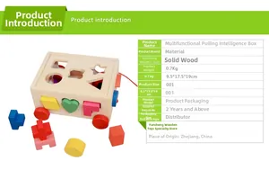 Macro detail of wooden intelligence box showing shape matching holes and colorful blocks