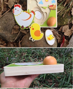 Macro side view of multi-layered wooden chicken life cycle puzzle for preschool learning