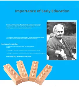 Detail of Montessori wooden cylinder sockets with educational theory background info