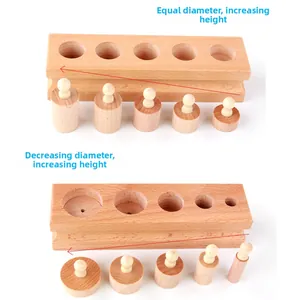 Detailed Montessori beech cylinders showing constant diameter vs varying heights