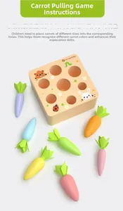 Detail of wooden carrot sorting toy showing colorful pieces and hole size matching game