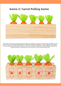 Detail of Montessori wooden carrot toy showing numbered base and various sizes
