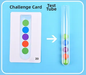 Detail view of colorful ball sorting logic game with pattern card and test tube