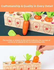 Detailed educational wooden carrot game showing numbers and matching textures for toddlers