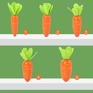 Educational wooden carrot toy set for children to learn size and number recognition