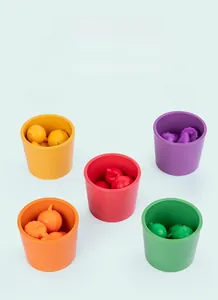Detail view of five colorful sorting cups and matching fruit models for early STEM learning