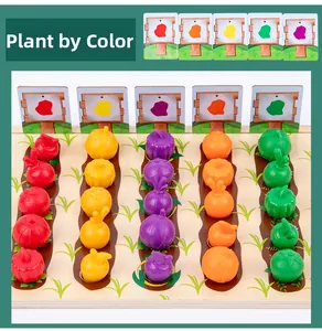 Close-up of wooden color sorting vegetable farm toy for preschool early learning and play