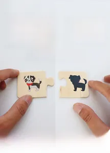 Detail of children's wooden puzzle showing animal pieces and shadow matching logic