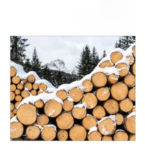 Makroaufnahme von langlebigem Naturholz für Lernspielzeug in verschneiter Waldumgebung