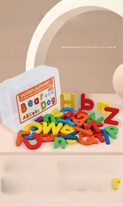 Close-up of 52 colorful wooden alphabet letters for early learning in a clear storage box
