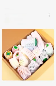 Strong foam netting protecting wooden play house toys inside a shipping cardboard box