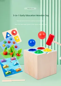 Composants détaillés d'un ensemble de jouets éducatifs Montessori 5-en-1 en bois