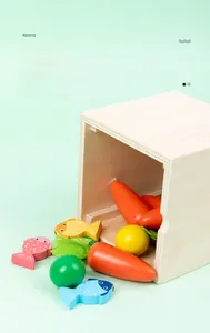 Détail macro du coffret Montessori en bois avec poissons magnétiques colorés et carottes