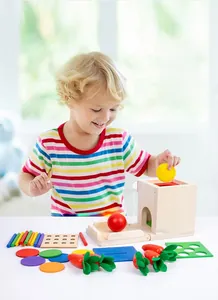 Close-up of Montessori wooden sensory toy with colorful balls and carrots for kids