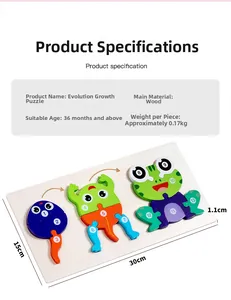 Detailed view of wooden frog life cycle puzzle showing 13 numbered growth stages