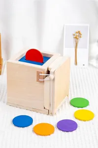 Detail of wooden Montessori coin box toy with colorful discs for fine motor skills