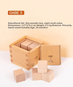 Vista macro di 8 cubi in legno di faggio nella loro scatola per sussidi GABE 3