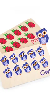 Detail of wooden matching cards showing pitaya and owl patterns for toddler math learning