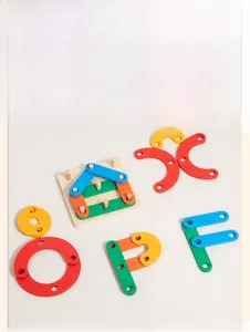 Detailed view of colorful wooden geometric blocks and base for toddlers' motor skills
