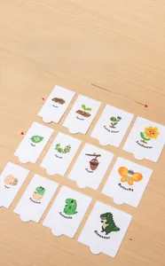 Dettaglio di 32 carte educative Montessori sul ciclo della vita su legno chiaro