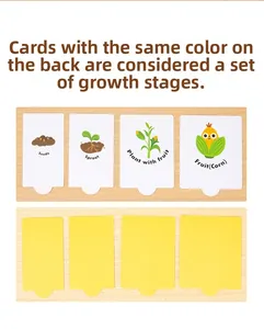 Dettaglio del puzzle Montessori in legno sul ciclo di crescita del mais dal seme al frutto