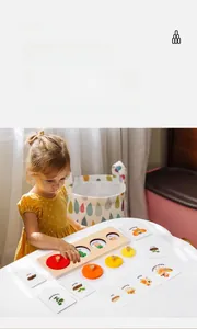 Puzzle ciclo della vita Montessori in legno con pomelli colorati per l'apprendimento scientifico