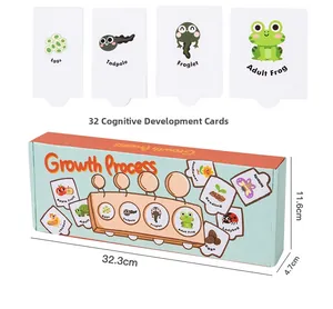 Puzzle educativo che mostra le fasi del ciclo di vita di rane e piante per bambini
