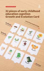 Carte didattiche che mostrano il ciclo di vita del girasole e della farfalla su legno