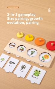 Puzzle ciclo della vita Montessori in legno con stadi di crescita della rana e perni
