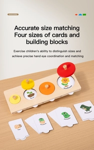 Dettaglio del puzzle Montessori in legno con carte ciclo di vita e blocchi colorati