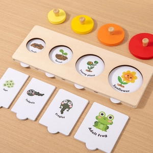 Puzzle ciclo della vita Montessori in legno con fasi di crescita girasole e rana