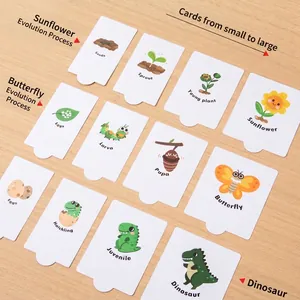 Carte didattiche Montessori sul ciclo di vita di girasole, farfalla e dinosauro