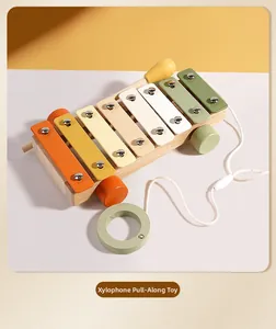 Close-up of a wooden 8-note xylophone pull toy with colorful metal keys and a small wooden mallet