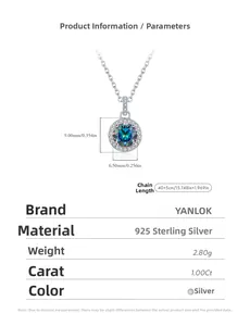 Détails techniques du collier halo en argent S925 avec moissanite de 1 carat