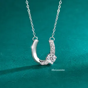 S925 Sterling Zilveren Moissaniet Hoefijzer Hanger Halsketting Met GRA-Certificaat Voor Dames Elegant D Kleur Moissaniet Hoefijzer Sieraden Cadeau
